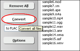 Click Convert